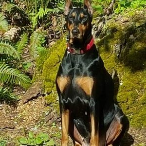 Meet your Posher, Rita